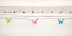 butterfly0019 - Copy